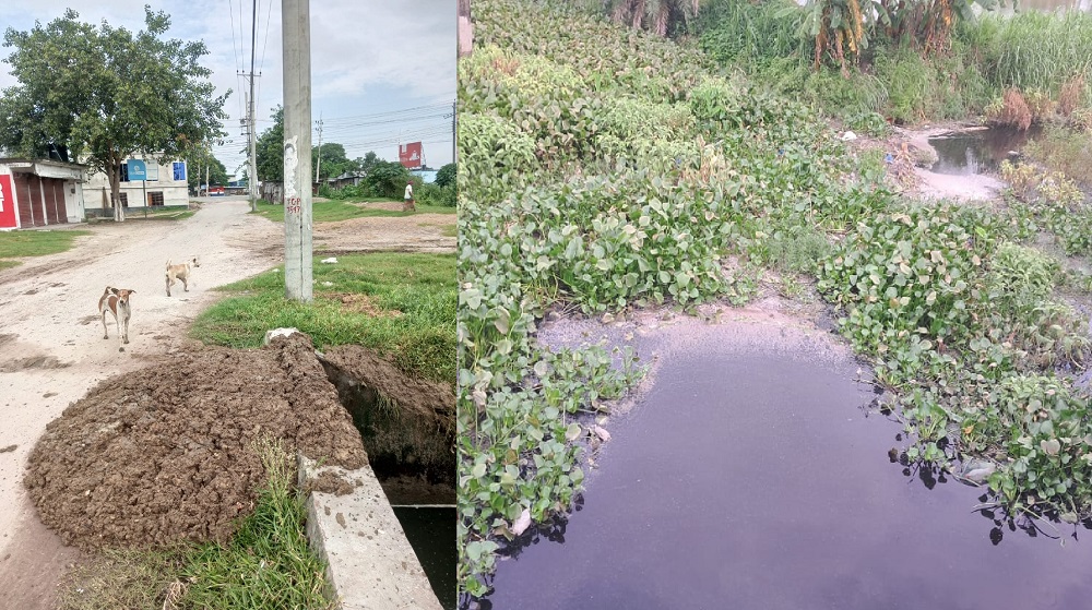রাজশাহীতে নাবা ফার্মের বর্জ্য সন্ত্রাস