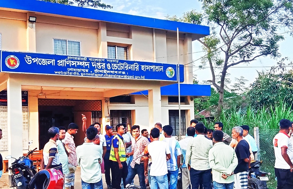 মাঠপর্যায়ে নেই কর্মী, টেবিলে নেই কর্মকর্তা