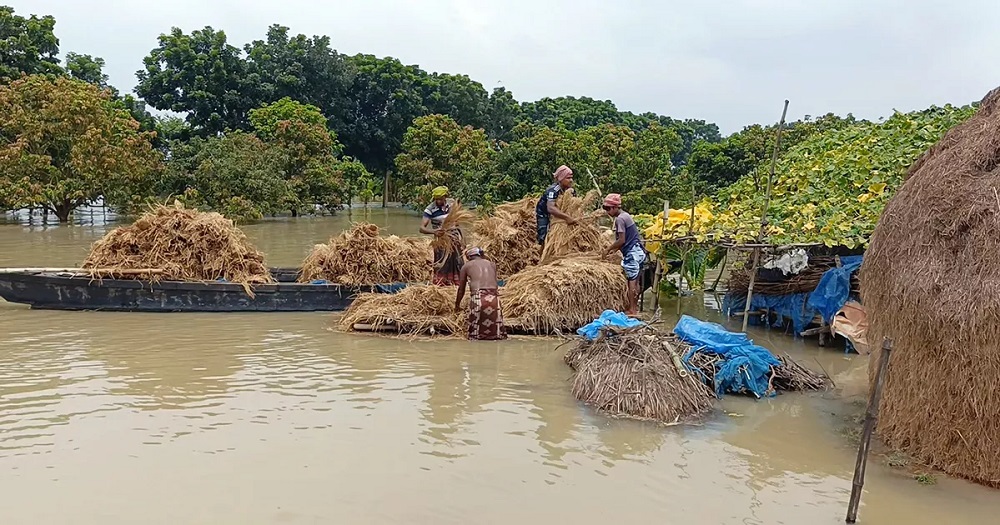 চাঁপাইনবাবগঞ্জে বন্যা পরিস্থিতির উন্নতি, বাড়ছে ভাঙন শঙ্কা