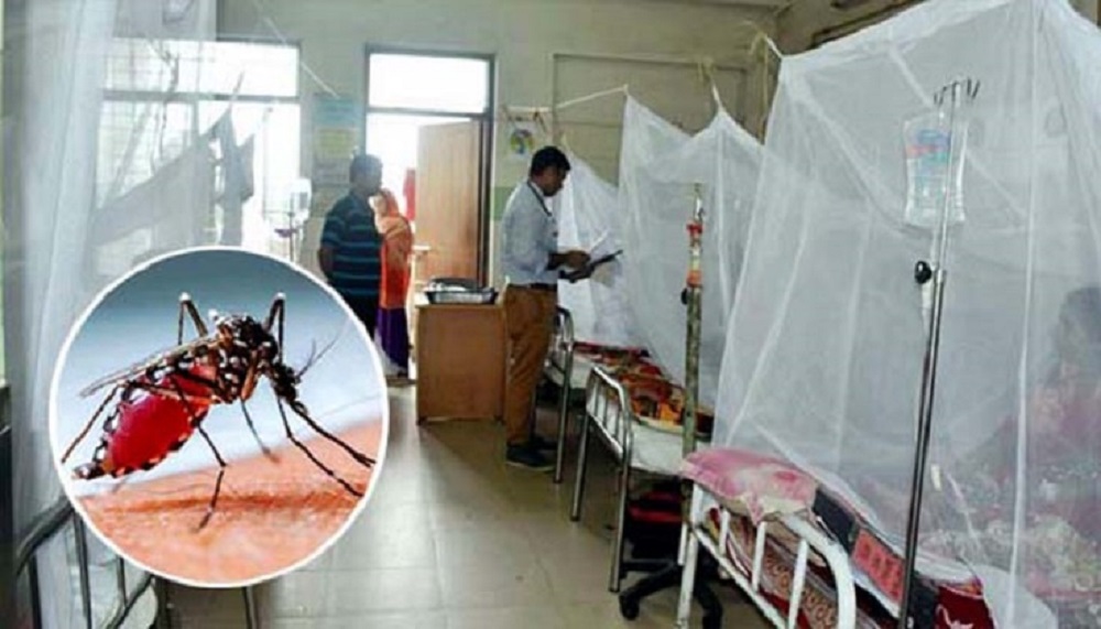 ডেঙ্গুর প্রকোপ: ২৪ ঘণ্টায় ৭ জনের প্রাণহানি