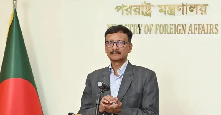হাসনাত সরকারের অংশ না