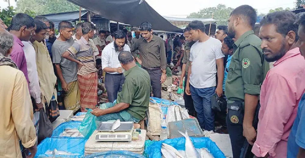 রাজশাহীর পুঠিয়ায় চিংড়িতে জেলি পুশ