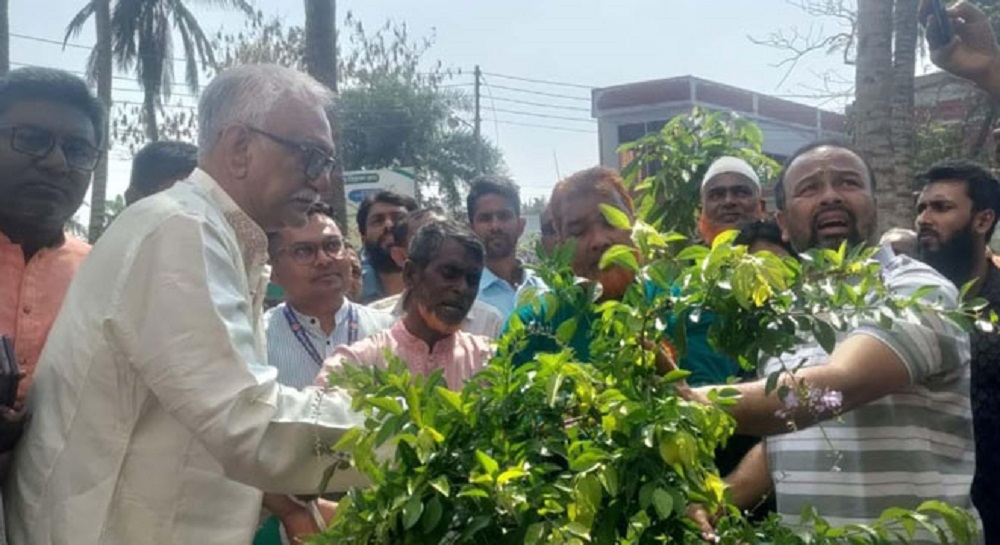 চারঘাটে হাসপাতাল পরিদর্শন ও বৃক্ষরোপণ করলেন এমপি চাঁদ