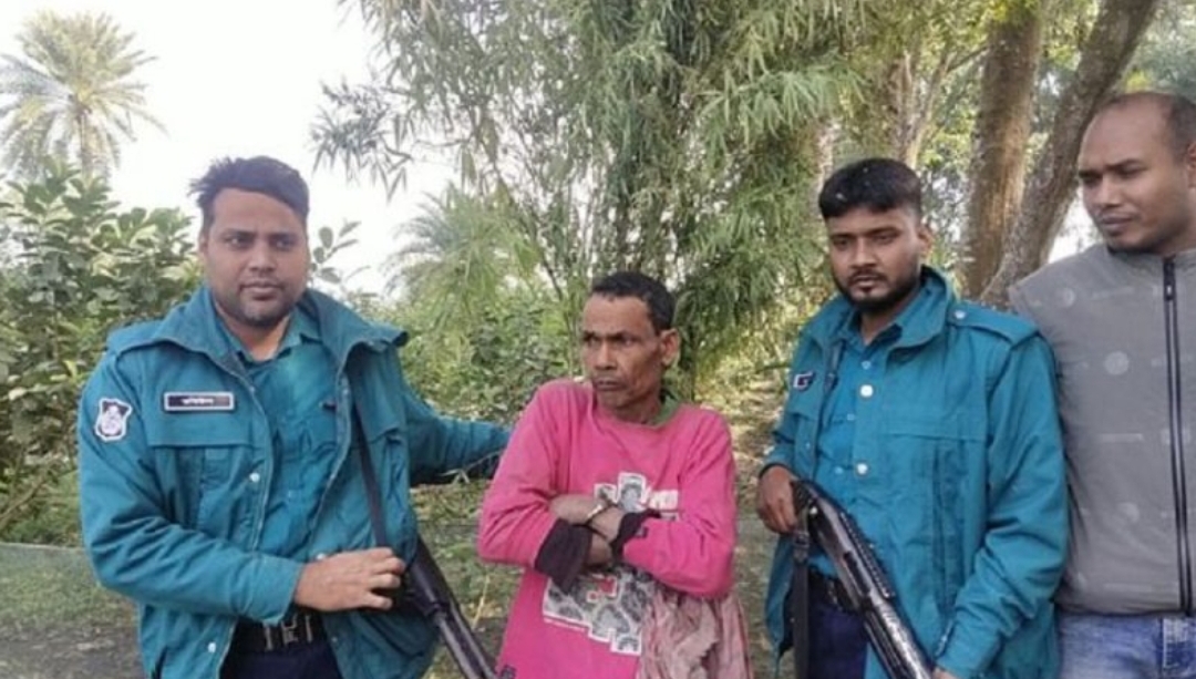 পেয়ারা বাগানের আড়ালে গাঁজা চাষ, রাজশাহীতে কৃষক আটক