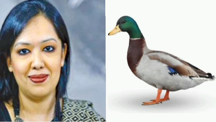 হাঁস প্রতীক পেলেন রুমিন ফারহানা