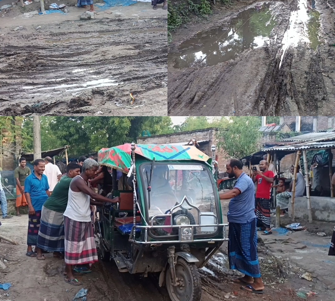 বৃষ্টিতেই কাদার সাগর, চরম দুর্ভোগে ইসলামপুরের ঘোষপাড়া-বেলদার পাড়ার মানুষ