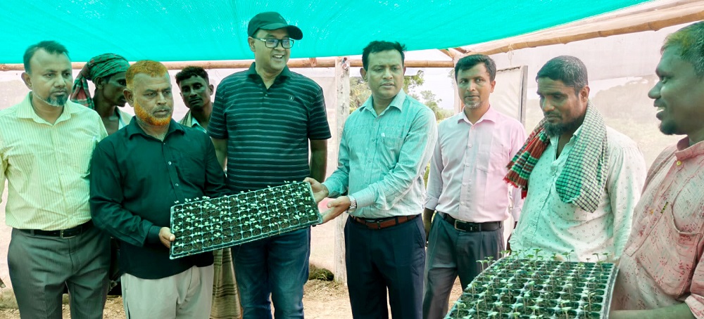 পদ্মার চরে চারা বিপ্লব