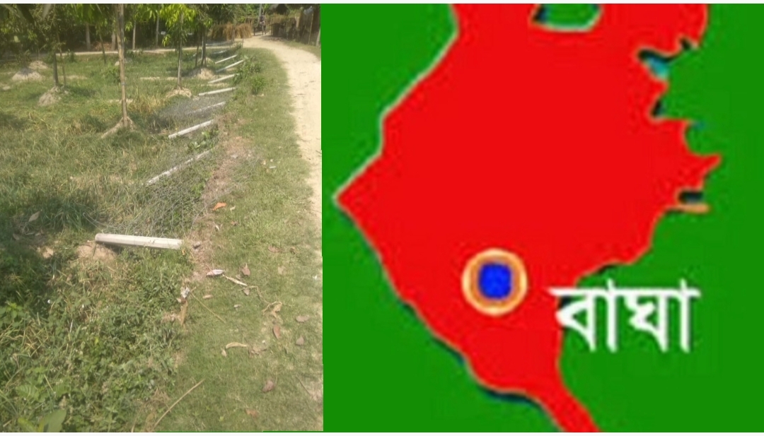 বাঘায় জমি দখল ও ফসল লুটের অভিযোগ: সজল-জুয়েলের নেতৃত্বে তান্ডব!