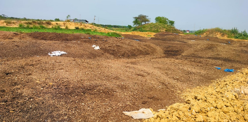 কৃষি জমিতে পল্ট্রির বিষ্ঠা, দূর্গন্ধে রোগ-জীবানুতে জনভোগান্তি